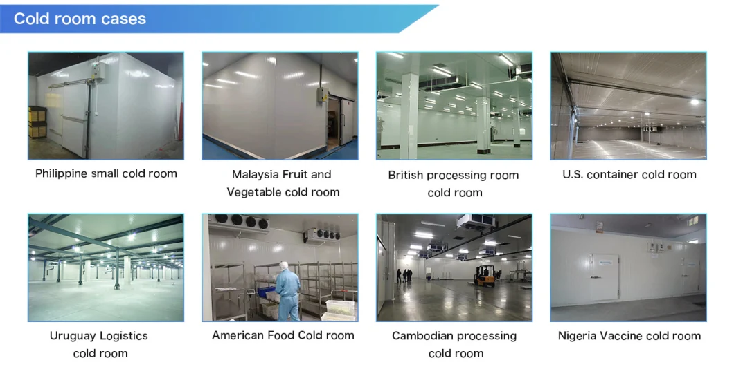 Runte Professional Design Cold Room Storage Refrigeration Equipment for Supermarket